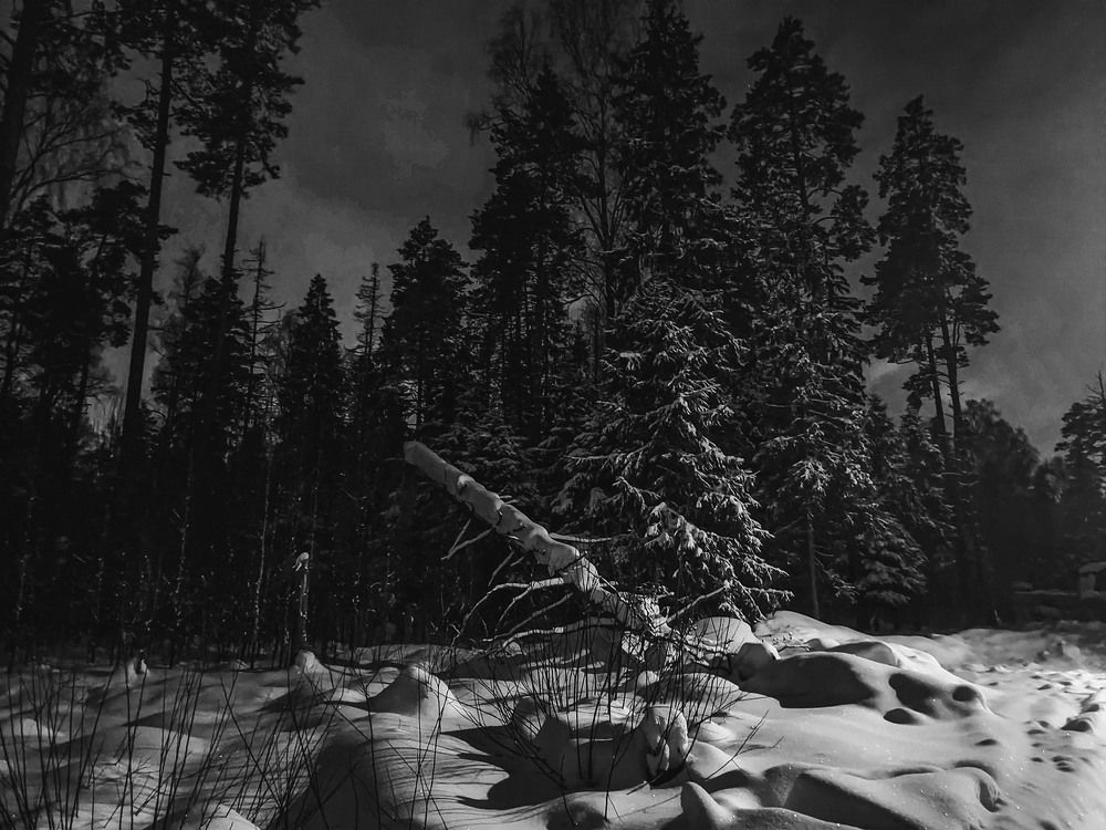 Photograph by Владимир Михайлов