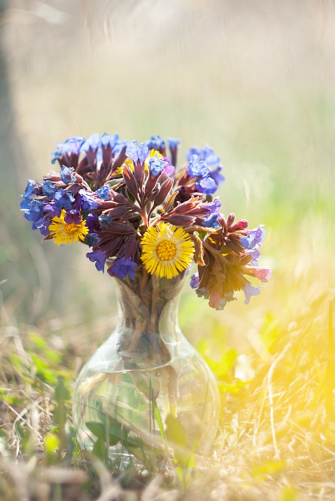 Photograph by Татьяна Гурьянова