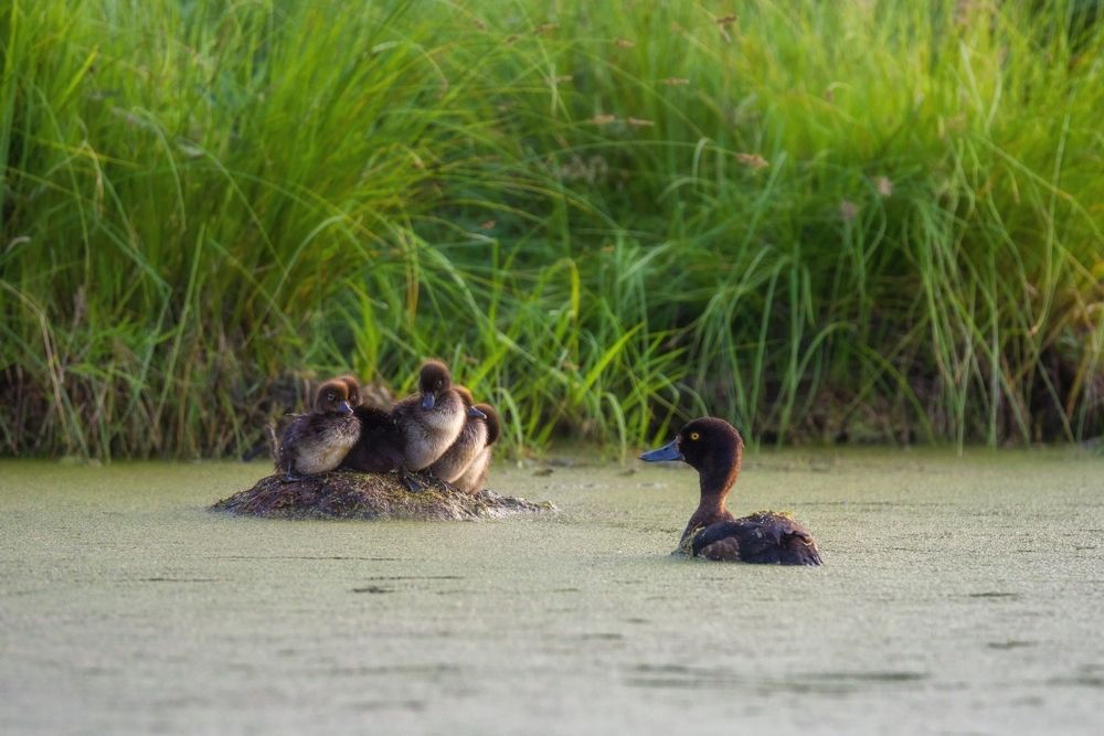 Photograph by  Михаил