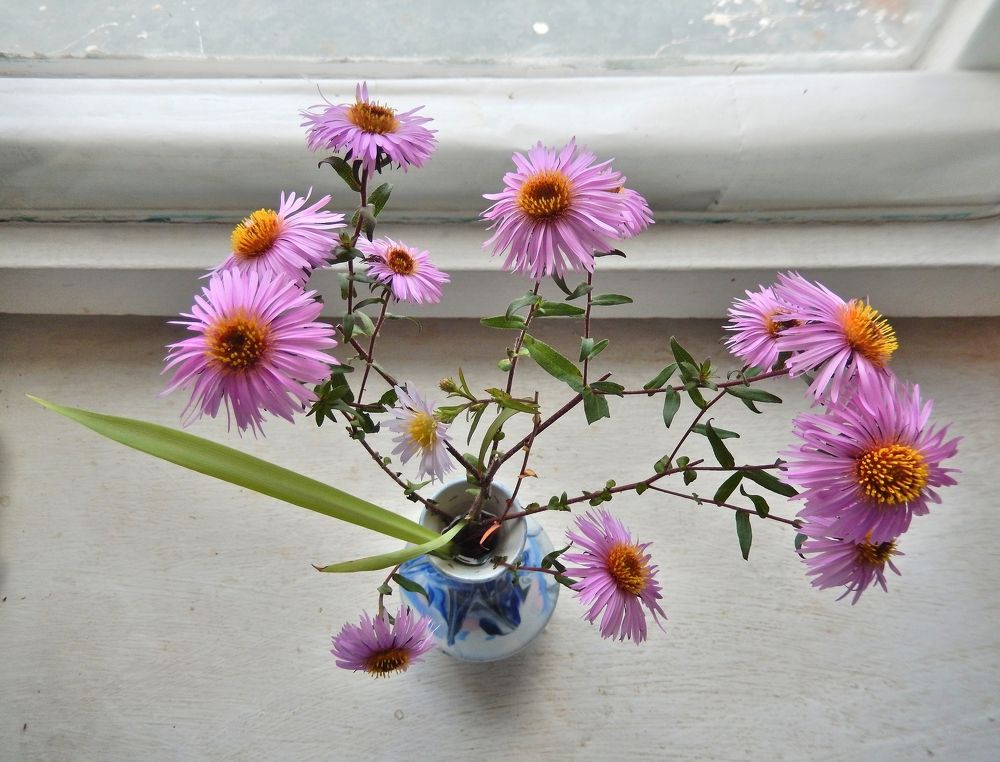 Фотография автора Клавдия Васильева