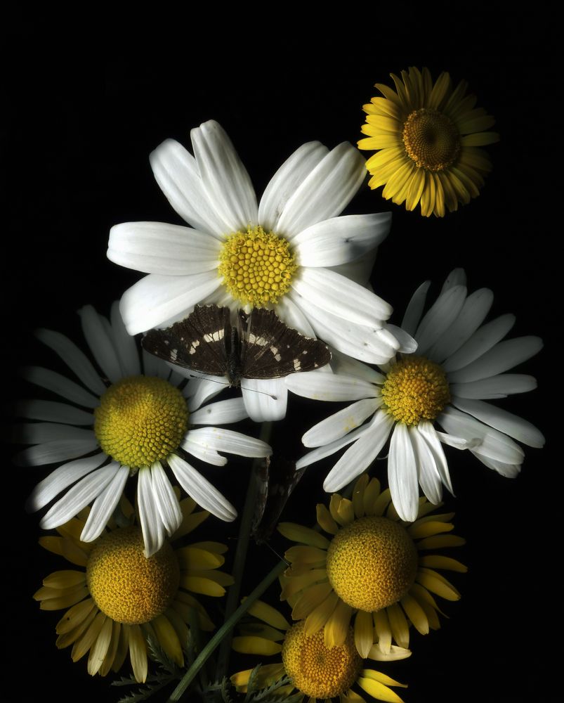 Photograph by Ершов Сергей