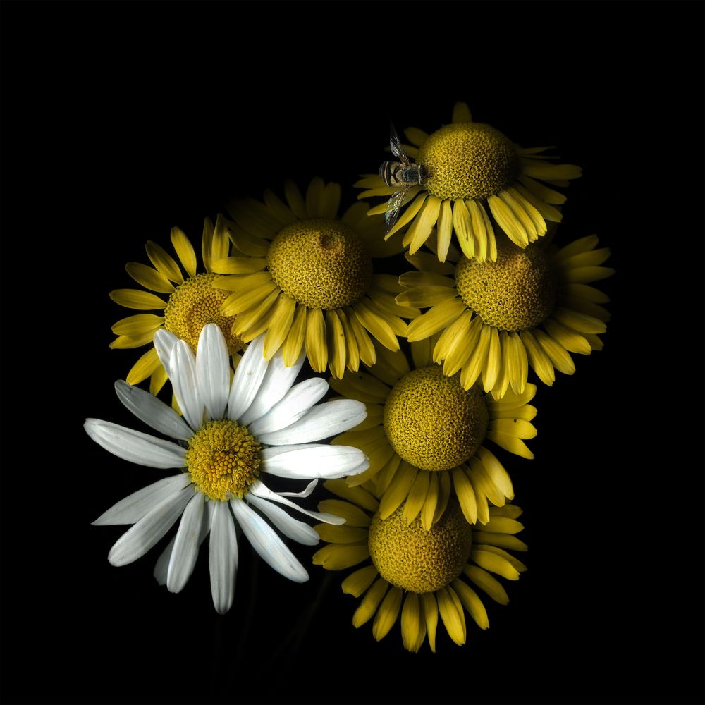 Photograph by Ершов Сергей