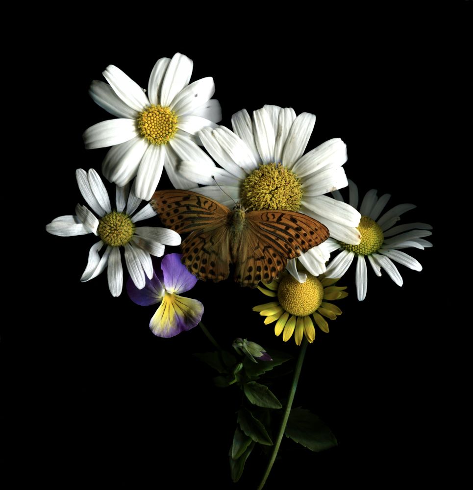 Photograph by Ершов Сергей