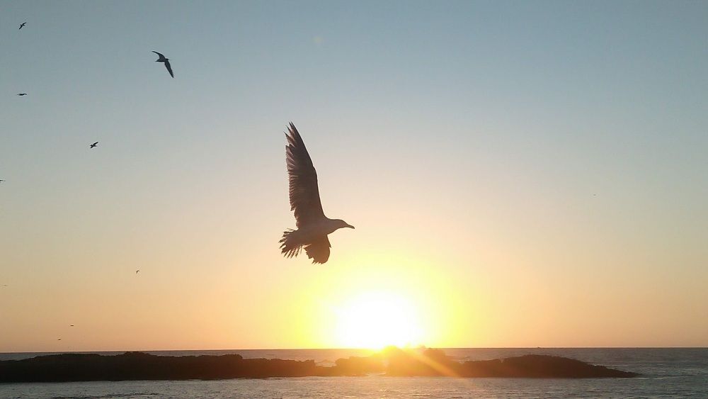Photograph by Jellab abdellatif