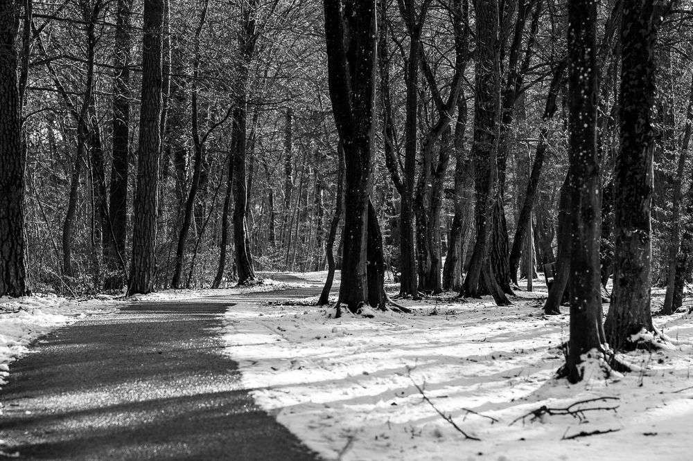 Photograph by Norberto Monagas