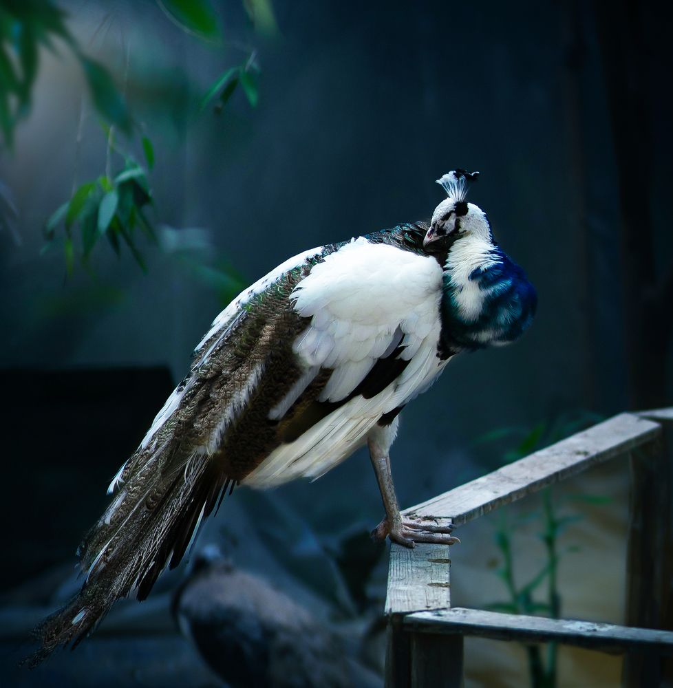 Photograph by amir_arsalan ezazi