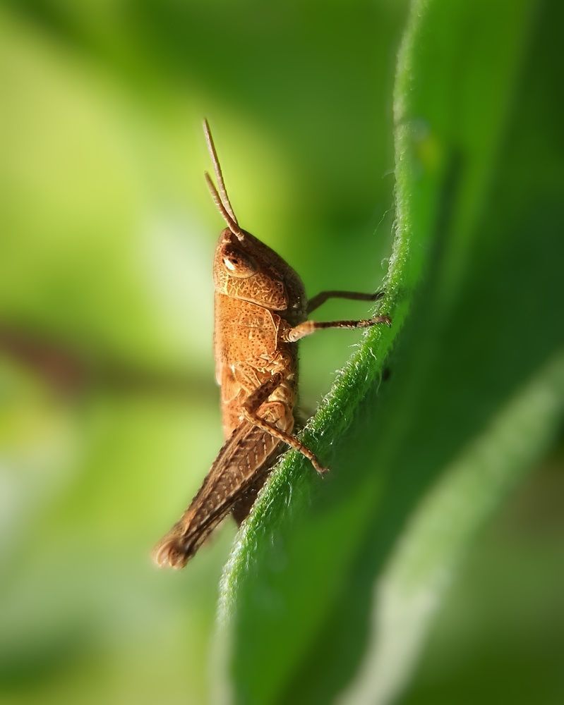 Photograph by Максим Лапин