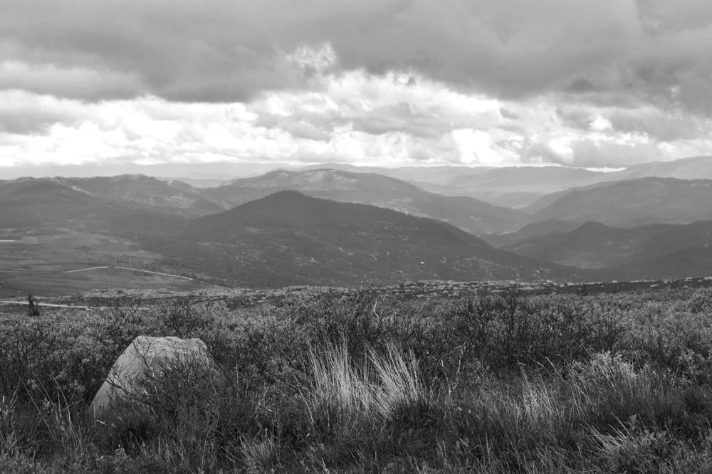 Photograph by Aušrinė Bui