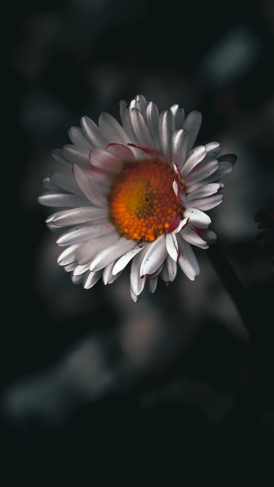 Photograph by Дмитрий Фадеев