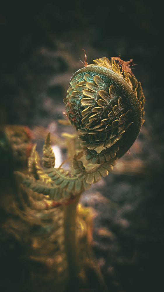 Photograph by Дмитрий Фадеев