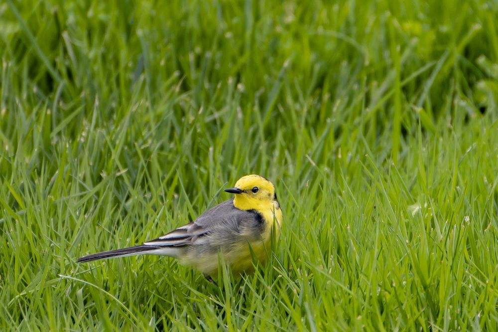 Photograph by Андрей Кондратьев