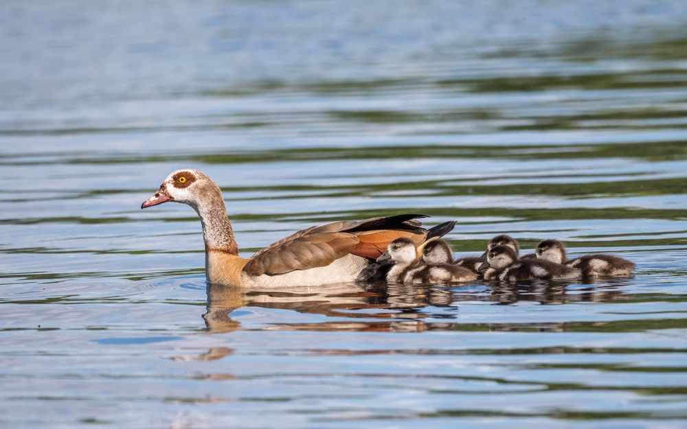 Photograph by NUR AZIMAH THERESA ABDULLAH