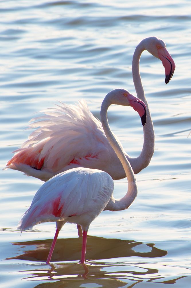 Photograph by Ufuk URGUN