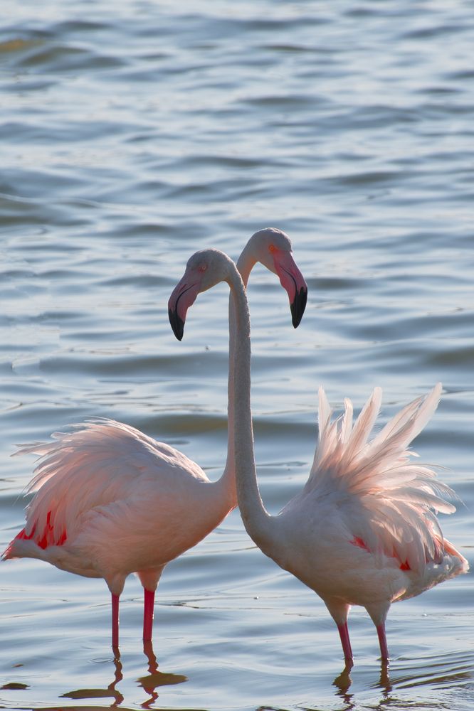 Photograph by Ufuk URGUN