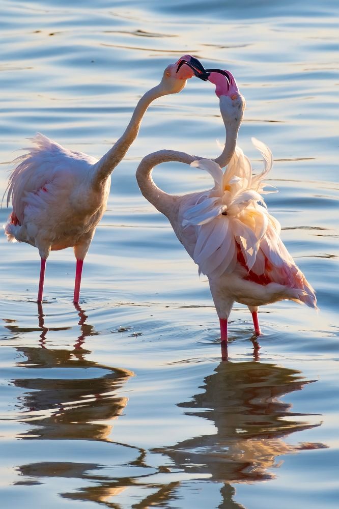 Photograph by Ufuk URGUN