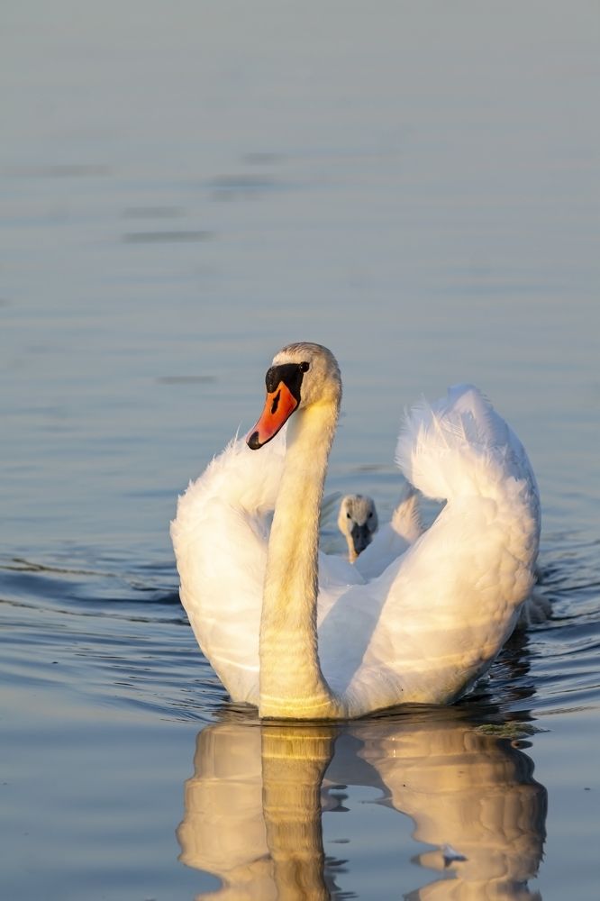 Photograph by Ольга Крючкова