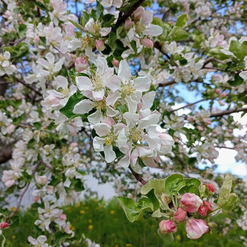 Photo #7772186