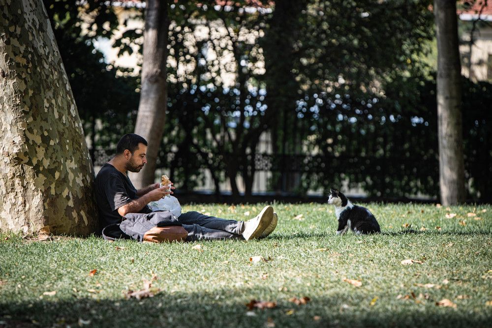 Фотография автора Анна Абрамова