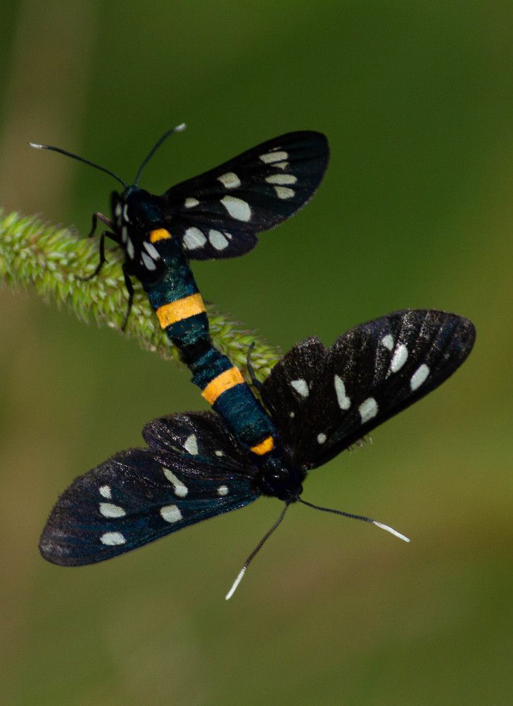 Фотография автора Алексей Тимофеев