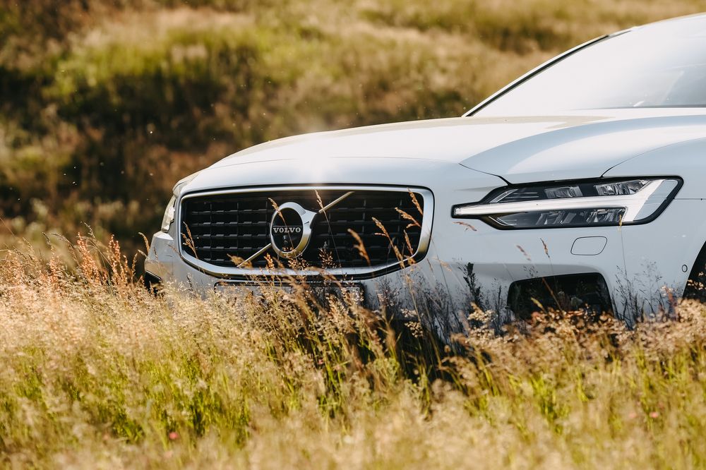 Photograph by Николай Филиппов