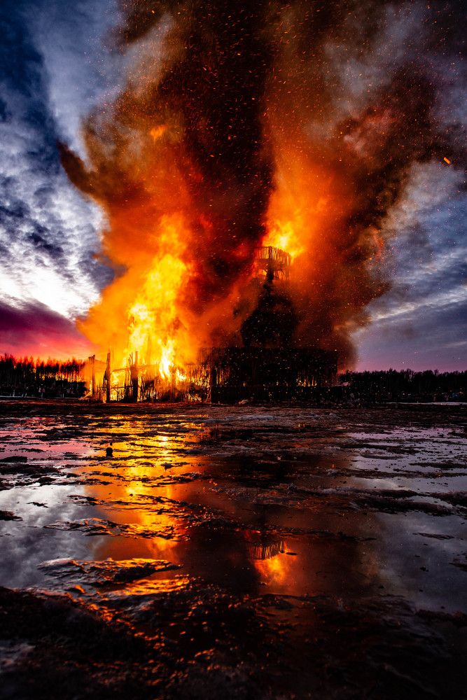 Фотография автора Анна Абрамова