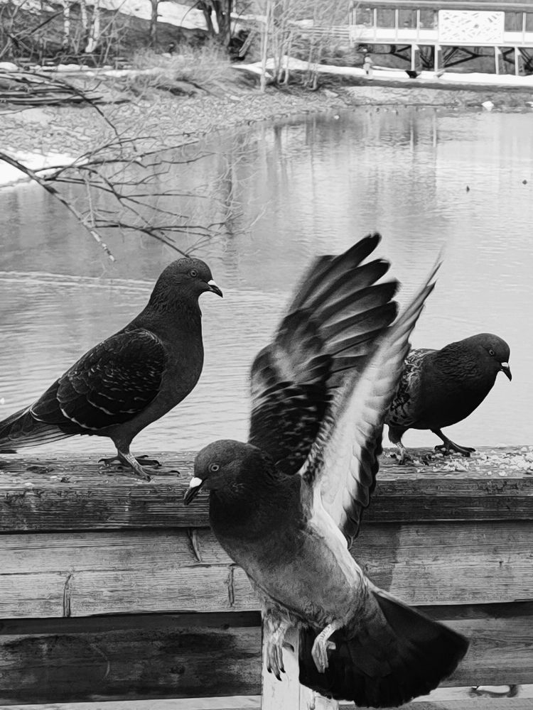 Photograph by Гульнара Зиангирова