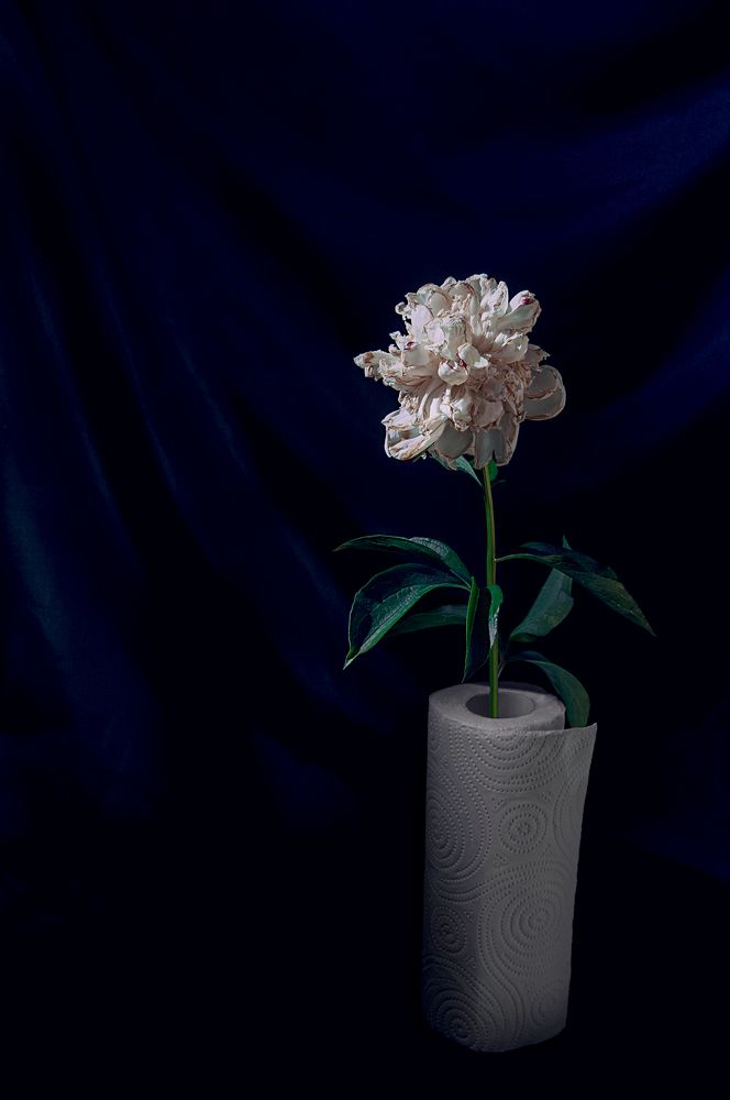 Photograph by Елена Леонидовна