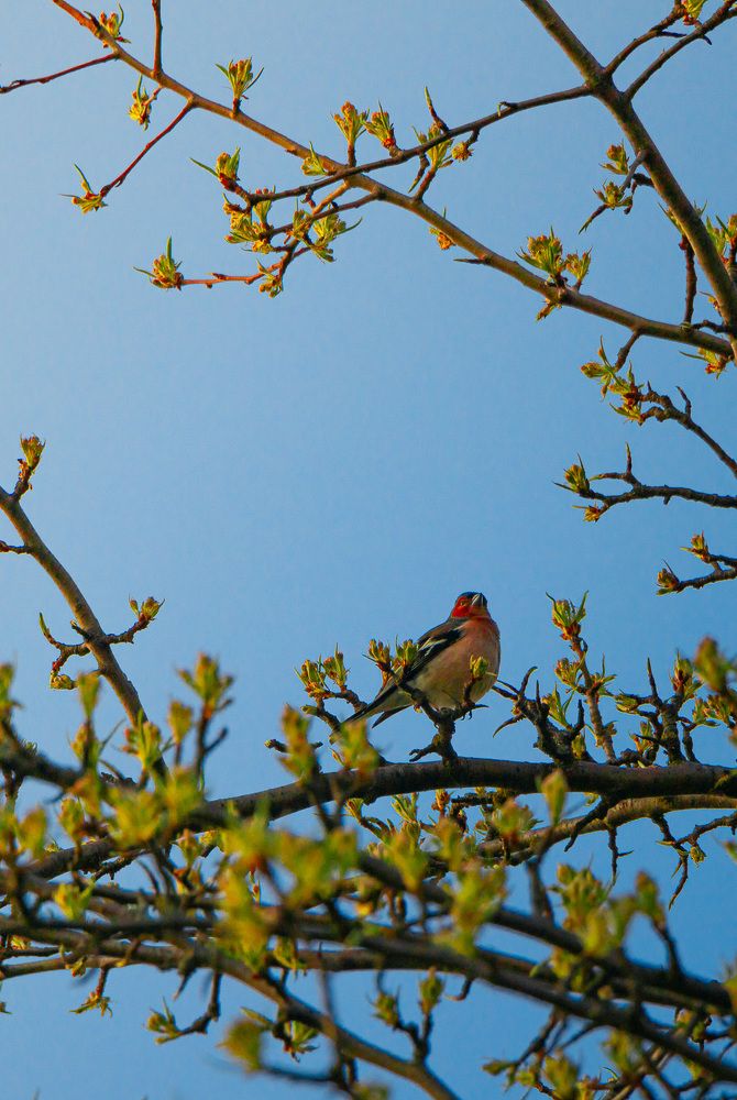 Photograph by Данила Черных