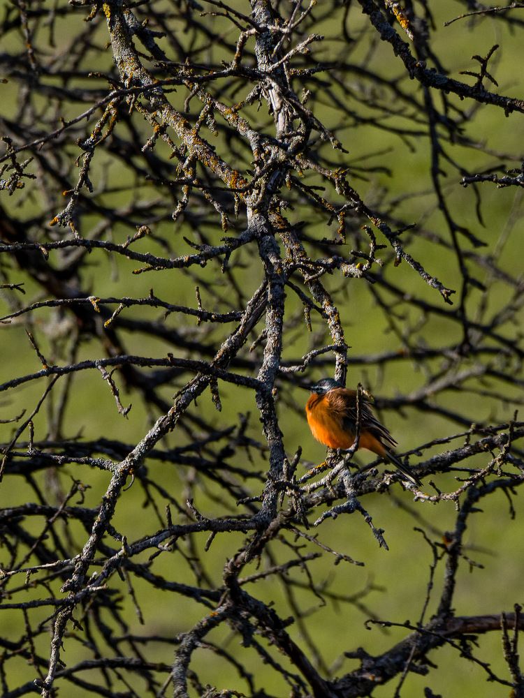 Photograph by Данила Черных