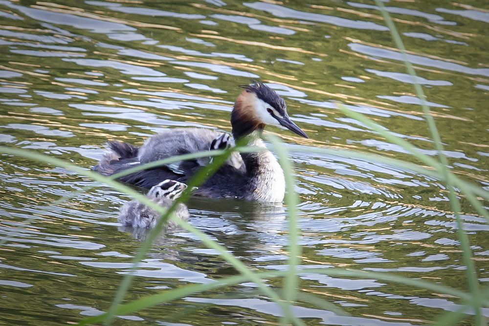 Photograph by Екатерина Рябинина