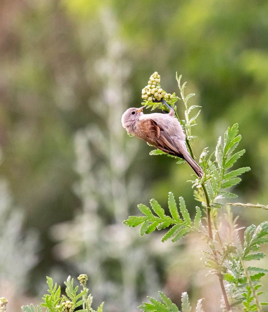 Photograph by Данила Черных