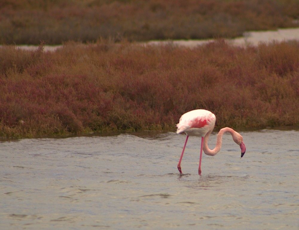 Photograph by yvan teule