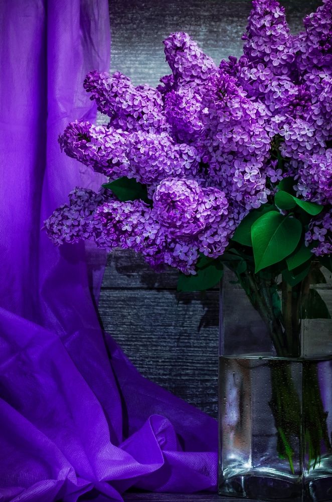 Photograph by Вероника Романенко