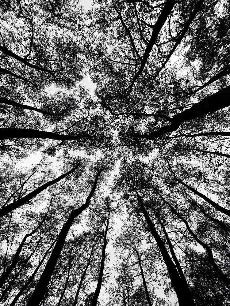 Photograph by Королева Екатерина