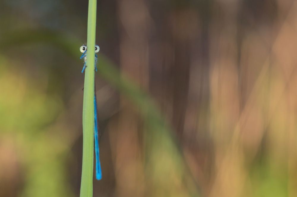 Photograph by Kveta Novotna