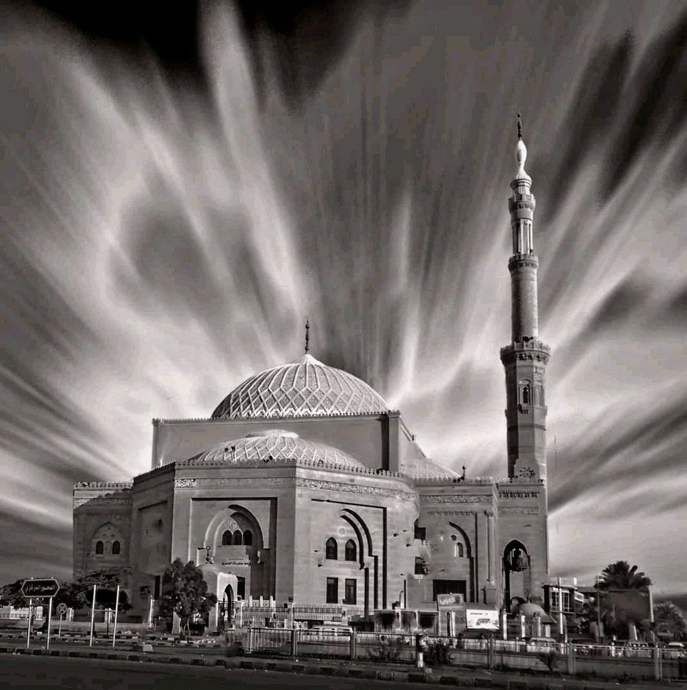 Photograph by MOHAMMED Saeed