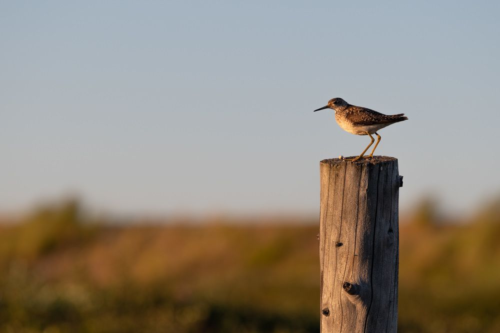 Photograph by Дмитрий