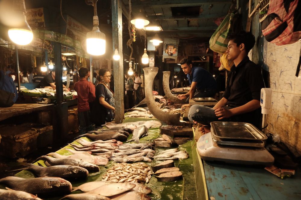 Photograph by Shirshendu Ray