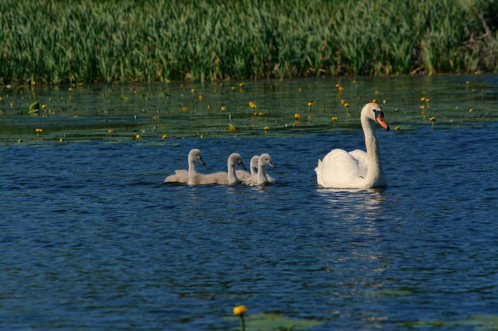 Photograph by Сергей Симаков
