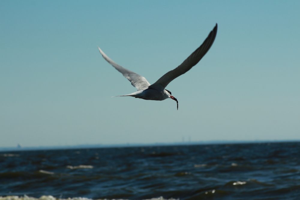 Фотография автора Егоров Максим