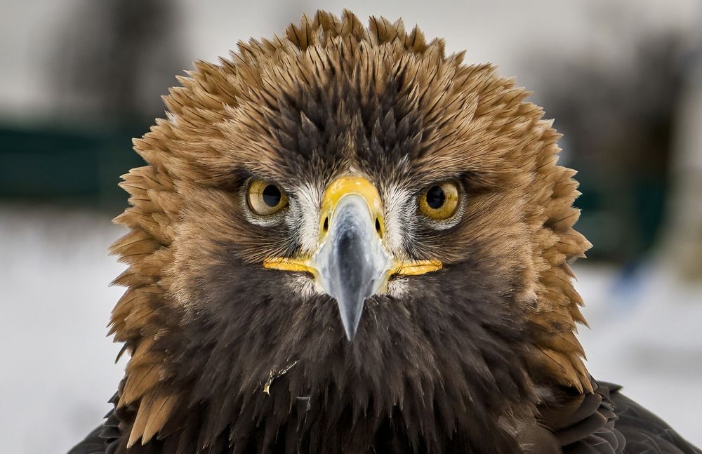 Photograph by Sergey Puponin