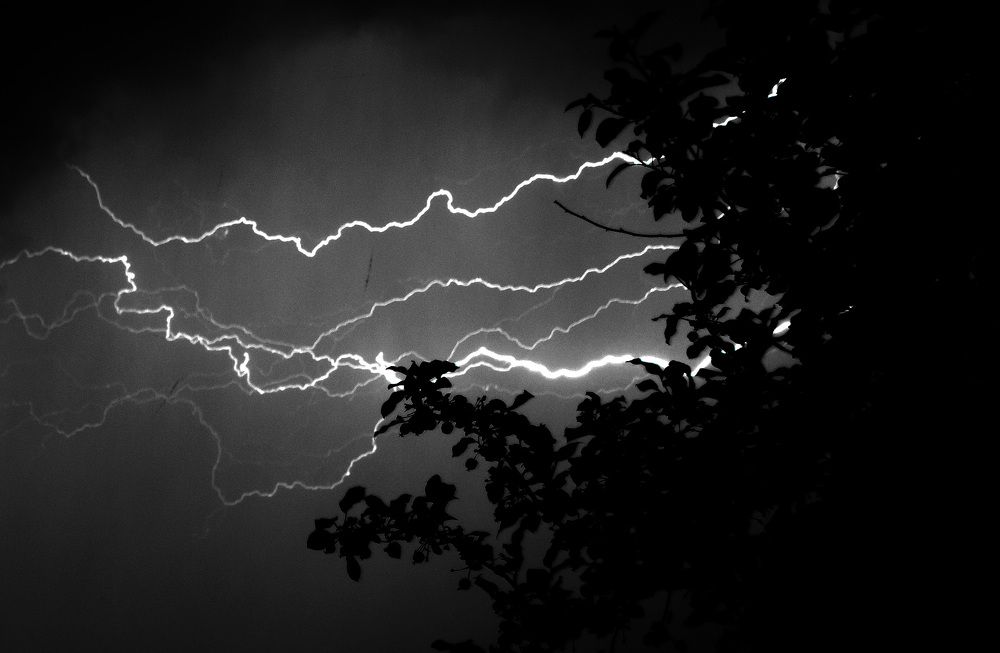 Photograph by Эльвира Быкова