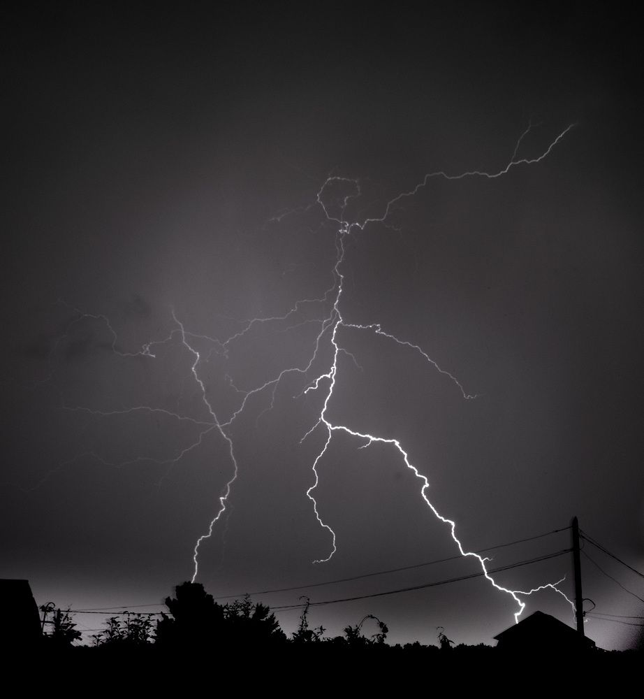 Photograph by Эльвира Быкова