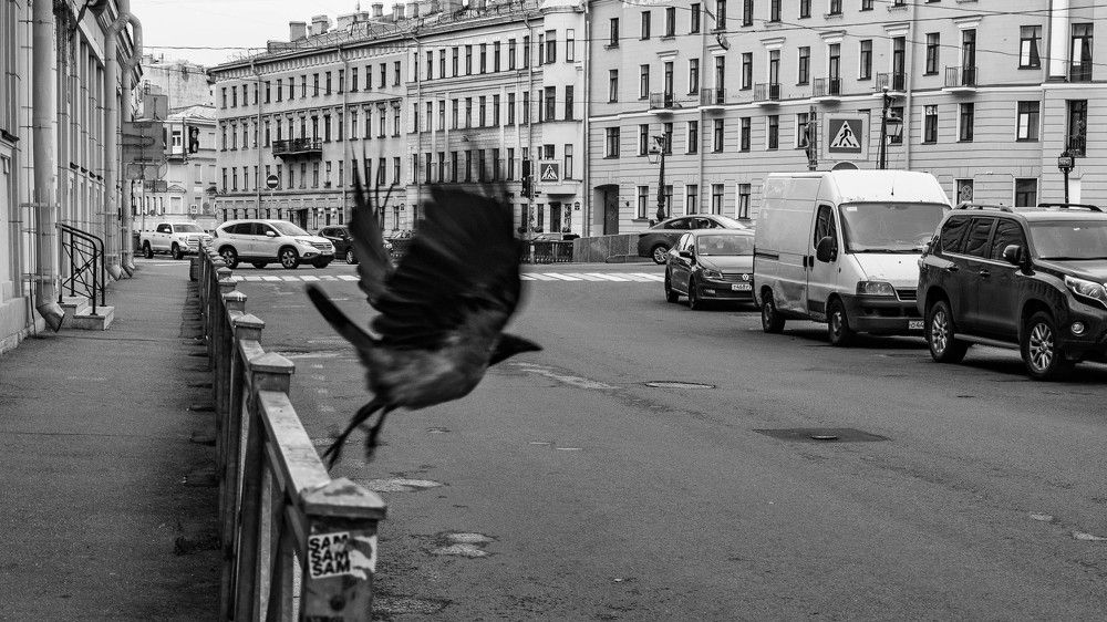 Фотография автора Алексей Школдин