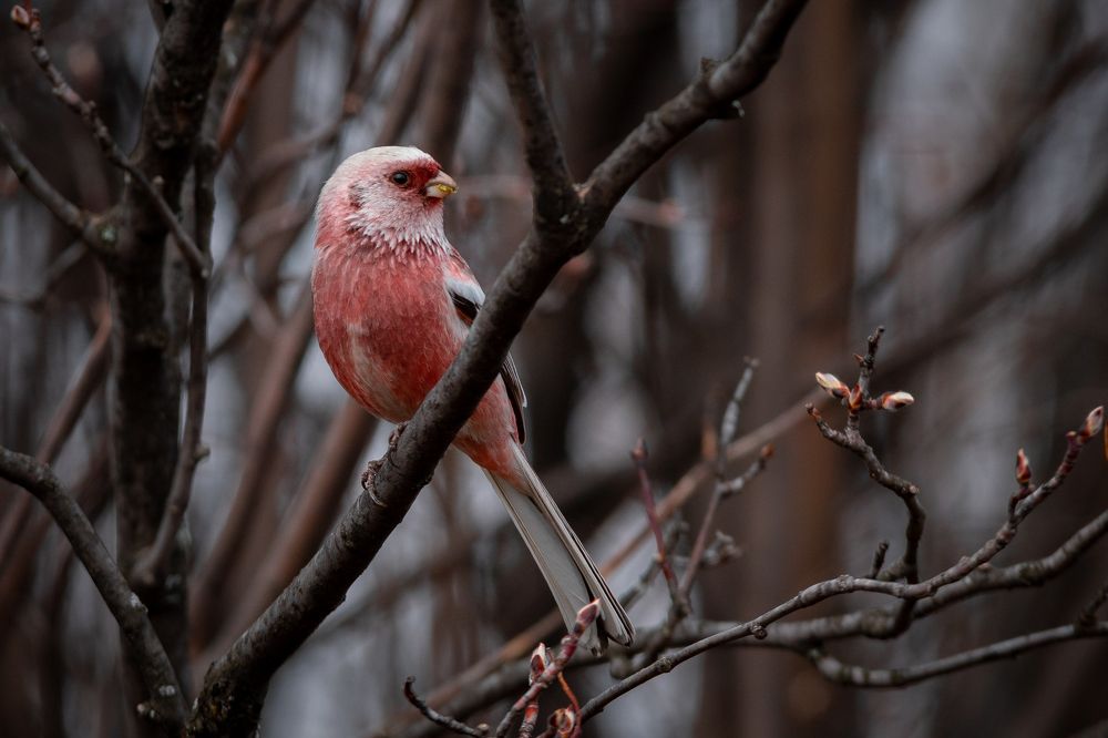 Photograph by Сергей Лебедев