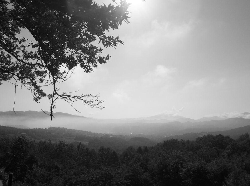 Photograph by Георги Колев