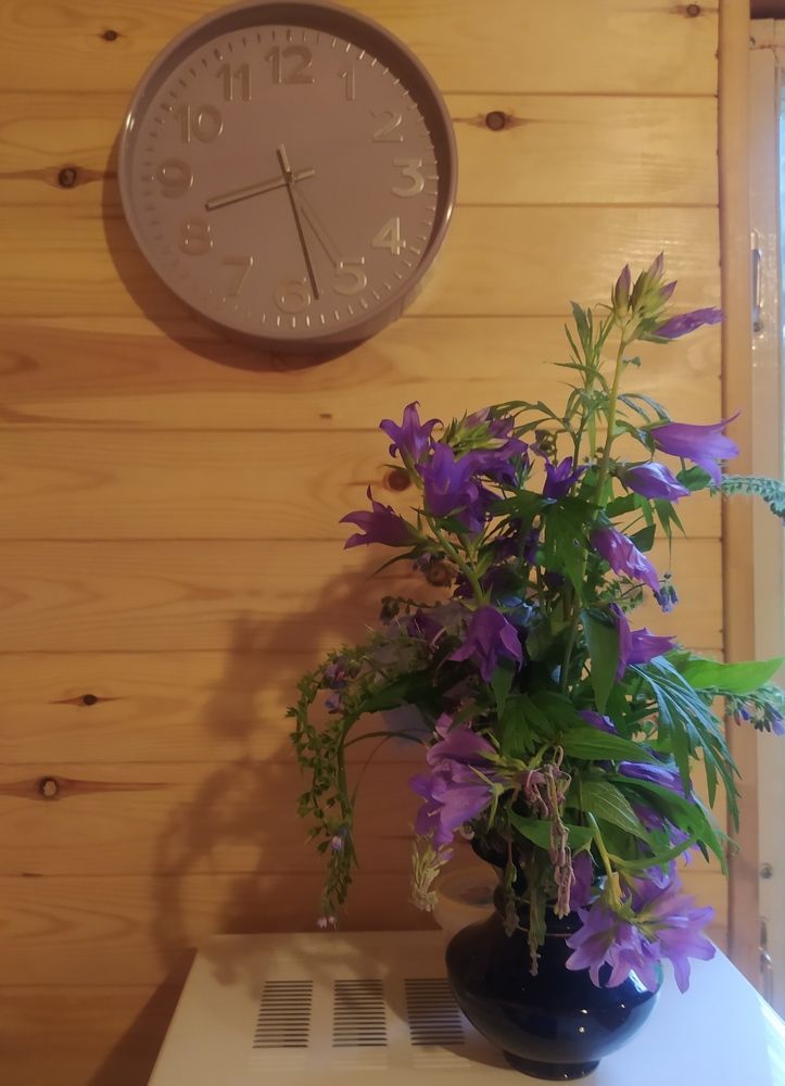 Photograph by Evgesha K