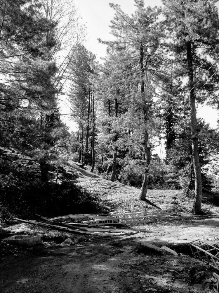 Photograph by MAHMOUD AKBAR