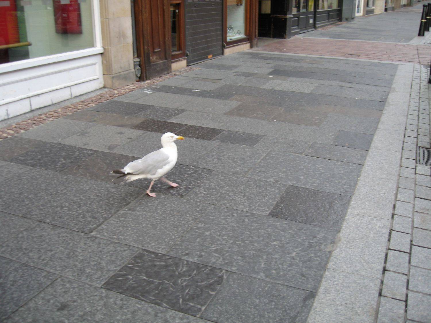 Photo #7772873