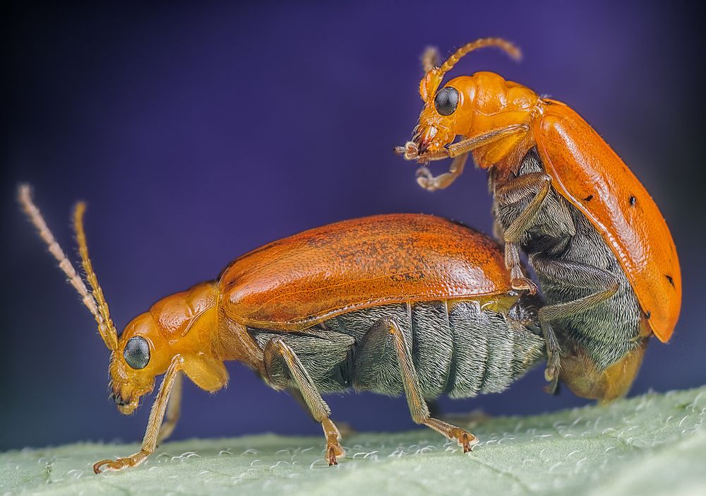 Photograph by SWEE MING YOUNG